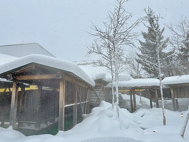 雪季时适合来「白桦之汤」，一边赏雪景一边泡汤。（吴娮翎摄）