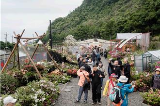 杜鵑花展2／27登場 金山、萬里雙展區等你來賞花