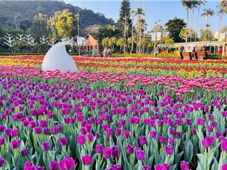 故宮攜手士林官邸推一日遊 憑票根賞花換限量好禮