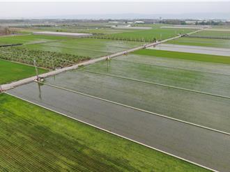 彰化21筆農地標售 這1處5坪總價不用5萬元