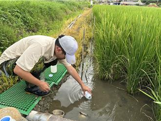 桃园放流水种稻产量增5成 获总统杯黑客松肯定