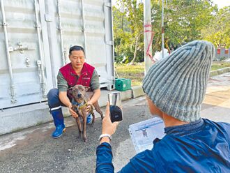 浪浪拍專屬影片 2天找到新家