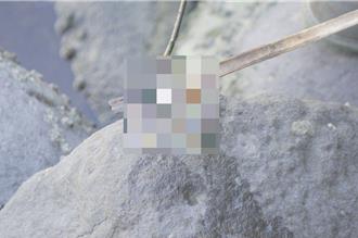 高雄分屍案已尋22屍塊   前鎮河今再撈起「1疑人體組織」