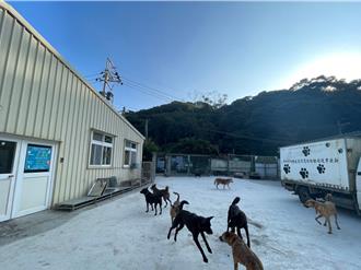 「毛寶貝歡樂禮物趴」熱鬧登場！八里動物之家邀您認養寵物