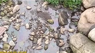 五股坑溪變「彩色河流」？廢油污染禍首竟是三重客運