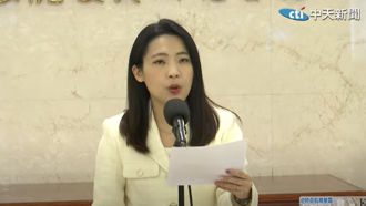 曹興誠當罷免領銜人  徐巧芯痛罵：背棄台灣的背骨仔