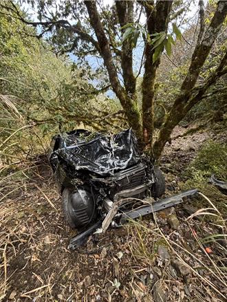 開賓士衝落合歡山200米深谷僅輕傷  駕駛命大「靠它」逃死