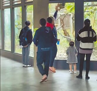 台北 猛拍窗擾保育猴 動物園追凶