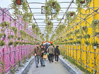 規模、展期縮 屏東熱博人潮減