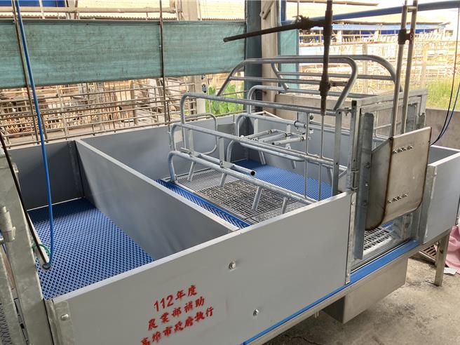 透過科技飼養，讓高雄養豬業更輕鬆，圖為豬隻。（高雄市農業局提供／林瑞益高雄傳真）