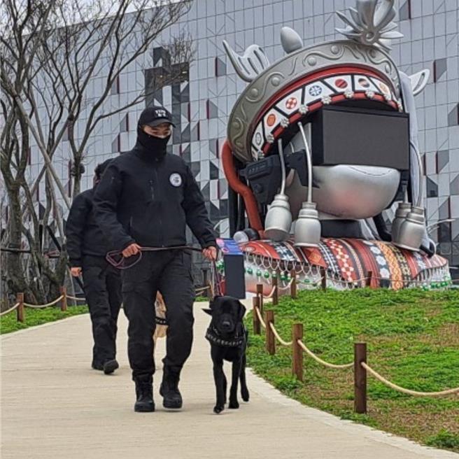 去年底才成軍的桃園警犬隊迎來今年首場大型任務，將於台灣燈會再次出任防爆安檢擔當。(警方提供／蔡依珍桃園傳真)