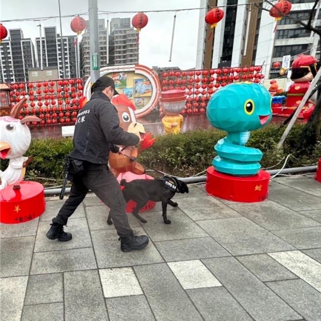 去年底才成軍的桃園警犬隊迎來今年首場大型任務，將於台灣燈會再次出任防爆安檢擔當。(警方提供／蔡依珍桃園傳真)