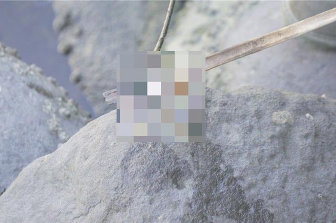 高雄分尸案目前共找到22块被害者遗体，今（10）日再有新展获，于前镇金巩桥侧，再发现1疑似人体组织，确认为人体组织送交刑大检验厘清。（任义宇摄）