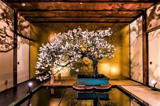 新春風物詩！日本最大規模 長濱盆梅展美極了