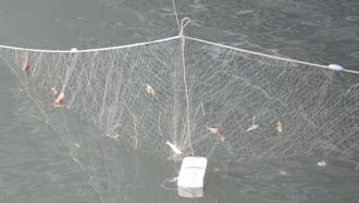 高雄3死分屍案打撈尋突破 河口拉漁網「攔屍」
