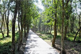 溪州公園木棧道年久失修 彰縣府斥千萬整修預計8月完工