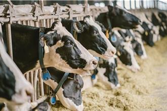 拍板「保存期14天內才是鮮乳」！農業部重申標示規定