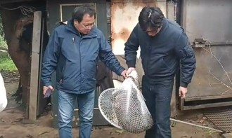 六福村狒狒遭擊斃  「他下令開槍」要坐牢！一審判決出爐