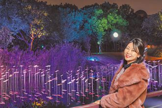 竹縣 東興圳光藝節 周五迎最後詩篇