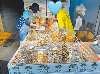 巴西蘑菇鎘超標2.5倍 罰3萬