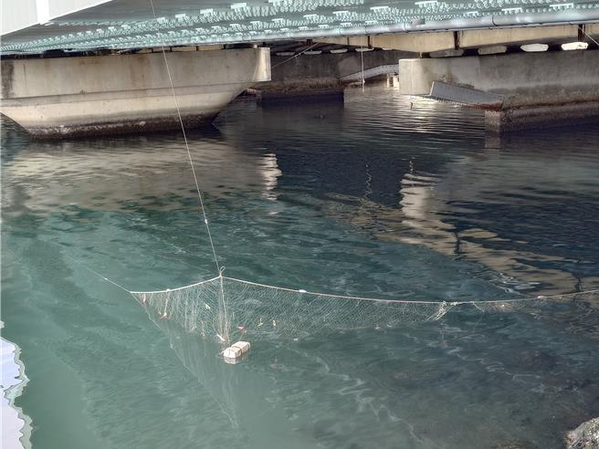 高雄分尸案打捞陷入瓶颈，警方于河口架设渔网，减轻搜索负担。（任义宇摄）