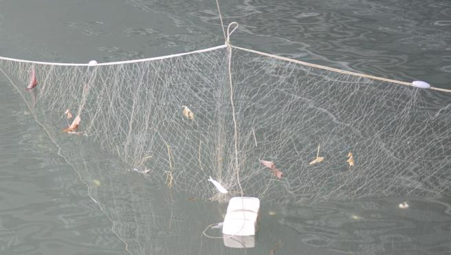 高雄分尸案打捞陷入瓶颈，警方于河口架设渔网，减轻搜索负担。（任义宇摄）
