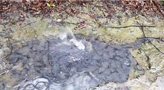 影》台南中洲國小地面冒白煙 校方疑是天然氣 民眾呼「發財了」