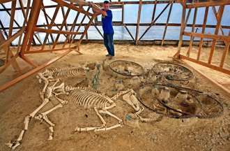 湖北出土戰國車馬坑 首現「3車2馬」 專家揭墓主身分