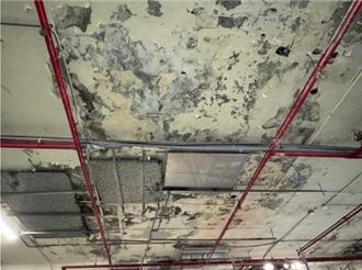 中壢新明市場安全堪慮！張善政宣布拆除重建