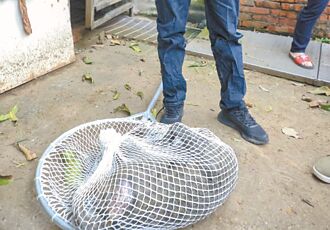 桃園 下令殺狒狒 農業局前技工判8月