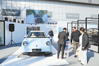 另闢蹊徑 陸企考察中東中亞