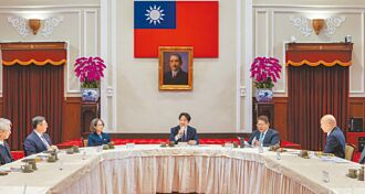 院際調解權與總統專權