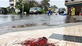 鹽水蜂炮遇雨卡關！炮屑黏地 清潔隊拚午前清完