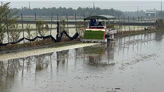 有機水稻除草缺工 雲林斗南農會推「紙蓆」插秧防雜草