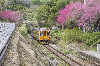 竹縣合興愛情車站變身「森林園區」 野草生態花園步道引人入勝