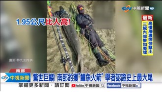 驚世巨鱔！高雄釣客花40分鐘拉上岸 學者認證：全台最大尾