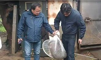 指使獵人射殺狒狒遭判刑 基層寒心：以後誰敢挺身而出？