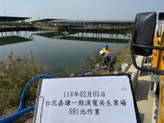 漁電許可遭撤照 台泥綠能籲政府1事：勿讓誠信企業淪提款機