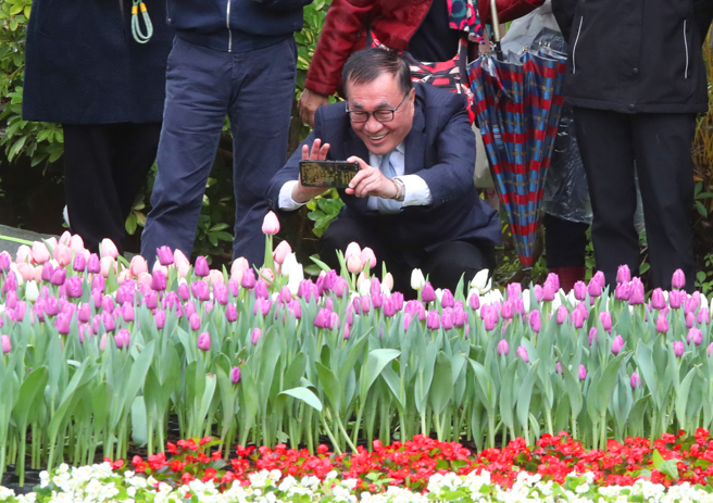 西洋情人节前一天，2025士林官邸郁金香展13日开展，以「爱的遇艺」为主题，将士林官邸妆点成浪漫的郁金香花海，今年共选用超过13万株、30个品种，台北市副市长李四川蹲下用手机拍下美丽的郁金香。（陈君玮摄）