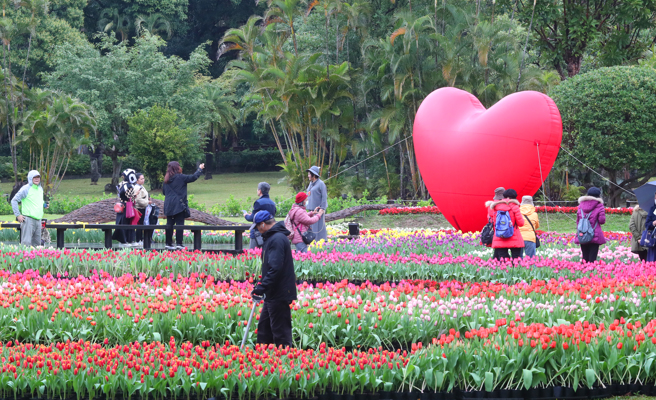 西洋情人节前一天，2025士林官邸郁金香展13日开展，以「爱的遇艺」为主题，将士林官邸妆点成浪漫的郁金香花海，今年共选用超过13万株、30个品种，细雨中民眾撑伞逛美丽的郁金香花。（陈君玮摄）