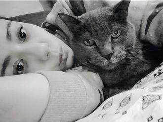 直播到一半22歲貓離世 高慧君崩潰痛哭：趁我不在時離開