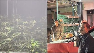 大麻園火警濃煙亂飄！ 芭達雅居民集體「麻酥酥」笑不停