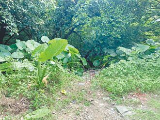 砍死移工同鄉 雇主判14年6月