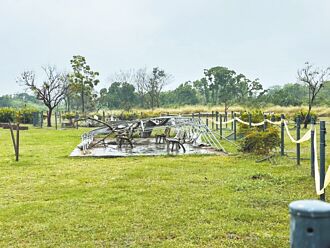 寵物公園變廢墟 屏縣6月前修復