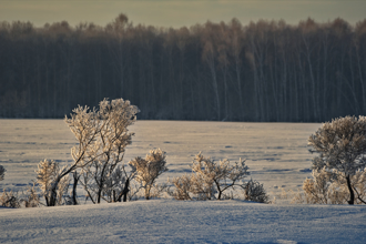 俄西伯利亞發生規模5.9地震 震源深度10公里