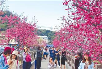 最慘不是花蓮！228連假國旅平均訂房率低於5成