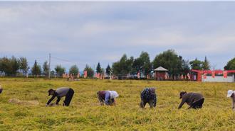 大陸農民每月養老金僅214元 悲嘆：城裡人退休能旅遊…我們連生病都不敢
