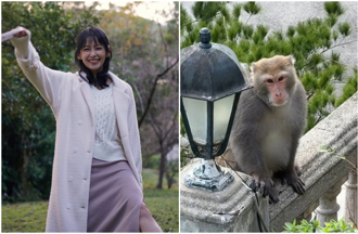 袁艾菲家又有猴子入侵！她確認同一隻：化成灰都認得