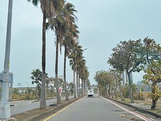 台南 10条友谊街 挨批难引共鸣