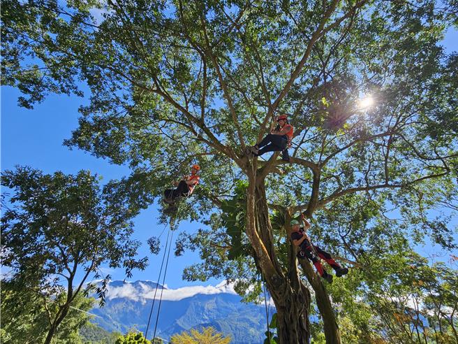 由旧泰武国小活化改建而成的屏东县大武山山林教育服务中心15日正式启用，可以体验树攀。（罗琦文摄）